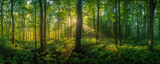 Fototapeta Las - A Tranquil Morning as Golden Sun Rays Illuminate the Verdant Depths of a Forest Sanctuary