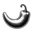 Chilli pepper. Vintage woodcut stipple engraving vector illustration.