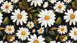 Floral seamless pattern daisy flowers on black backg