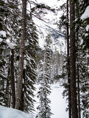 Yoho National Park, Canada - Dec. 23 2021: Frozen Emerald Lake hiding in winter forest surounded by rockies mountains in Yoho National Park