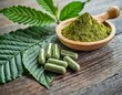 Matcha kratom powder, fresh green leaves, and capsules as an alternative medicine. concept for healthy lifestyle
