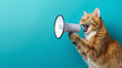 © jamalnasro - A ginger cat holding a megaphone with its mouth wide open against a blue background, conveying a sense of urgency and a message that needs to be heard.