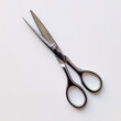 A pair of silver scissors on a white background.