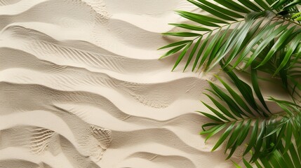 Wall Mural - Sea shore sand beach with palm tree banner. Background concept