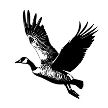 Spur Winged Goose Logo Design