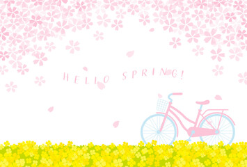 Wall Mural - spring vector background with bicycle with cherry blossoms and canola flowers for banners, cards, flyers, social media wallpapers, etc.