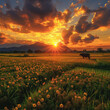fields, golden rice, sunset, gentle breeze, flying kites, grazing buffaloes