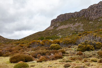 Wall Mural - Walls of Jerusalem National Park, Central Highlands, Tasmania, Australia