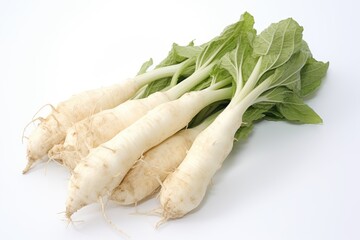 Wall Mural - Horseradish, vegetable , white background.