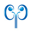 human kidney icon
