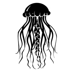 Wall Mural - Jellyfish sketch, Hand drawn vector illustration, Sea jellyfish Design elements