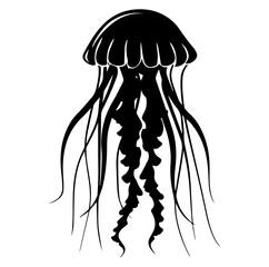 Wall Mural - Jellyfish sketch, Hand drawn vector illustration, Sea jellyfish Design elements