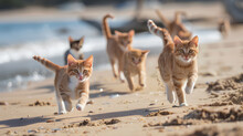 Cats In A Beachside Sprint On Sunny Day
. A Lively Pack Of Cats Races Across A Sandy Beach, Leaving A Trail Of Paw Prints And Stirred Sand Under The Bright Sunlight.
