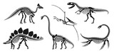 Fototapeta  - Isolated dinosaur skeleton fossil, dino bones. Vector reptile animal silhouettes. brachiosaurus, stegosaurus, olorotitan, tyrannosaur or trex, elasmosaurus and pterodactyl ancient reptilian remnants