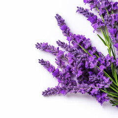 Sticker - A bouquet of purple flowers with a white background