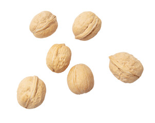 Wall Mural - Walnuts isolated white background