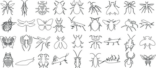 Wall Mural - Insect line art collection