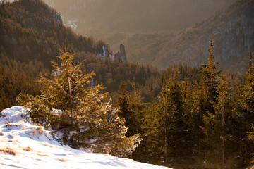 Wall Mural - Beautiful sunrise at winter in Ceahlau Mountains, Romania