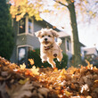 Terrier Dog Jumping in Autumn Leaves