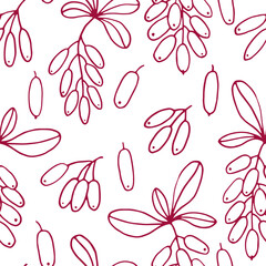 Wall Mural - Seamless pattern with leaves and barberry berries. Hand drawn vector illustration in outline style.