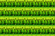The seamless pixel background with green forest.
