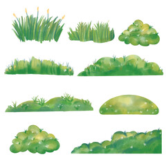 Poster - grass green illustrations Watercolor collection