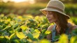 A woman examining thriving soybean plants on a sunny day in the farm. Concept Agriculture, Farming, Women in Agriculture, Soybean Farming, Agricultural Technology