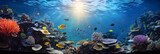 Fototapeta Fototapety do akwarium - Vibrant Underwater World: A Mesmerizing Spectacle of the Marine Biodiversity