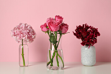 Wall Mural - Beautiful, fresh flowers on a pink background.
