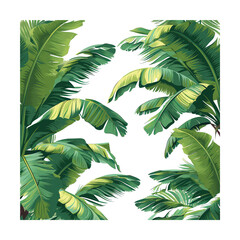 Wall Mural - palm tree leaves against isolated on transparent background