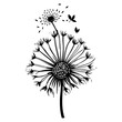 spring dandelion flower illustration sketch draw
