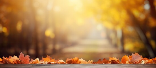 Poster - Vibrant Autumn Leaves Adorn Wooden Table in Peaceful Park Setting