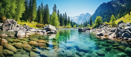 Wall Mural - Crystal Clear Altai Mountain River Flows Turquoise Stream in Serene Panoramic Scenery