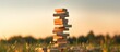 Rustic Wooden Blocks Tower on Pedestal in Lush Green Field at Dusk
