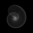 © Tasha Vector - Abstract linear shell shape on black background. Technology object. Round spiral logo. Waves effect. Geometric snail made of lines. Design element. Modern graphic shape. Vector illustration.