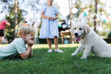 Children Playing With A Small Puppy At Family Garden Party. Portrait Of Little Boy Lying On Grass Looking At Golden Retriever Puppy.