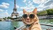 Whiskered Wanderlust: Adorable Ginger Cat Capturing a Selfie in Front of the Iconic Eiffel Tower, A Charming Blend of Parisian Culture and Playful Pet Travel