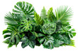 The leaves of tropical plants (Monstera, palm, rubber plant, pine, bird's nest fern) are in a floral arrangement arranged indoors in nature on a white background, isolated from the rest of the