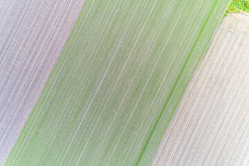 overhead aerial drone view of a plowed agricultural field