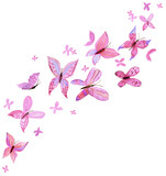 Fototapeta Motyle - Pink watercolor hand painted butterflies. PNG transparent design element.