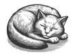 cat curled up and sleeping peacefully sketch engraving generative ai raster illustration. Scratch board imitation. Black and white image.