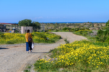 woman with a package walks through the village 2