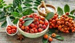 rowan rosehip dry plants for use in alternative medicine herbal medicine spa herbal cosmetics preparation of infusions decoctions tinctures used in powders ointment oil tea bath