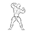© Elala 9161 - Posing bodybuilder, isolated vector silhouette, ink drawing