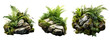 © NT clip art only - Set of stone rock fern tropical nature moss green leaf forest