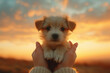 © ADDICTIVE STOCK - Adorable puppy held in hands at sunset. Generative AI image