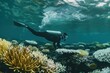 A person in a wet suit is swimming over a coral reef