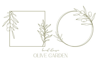 Wall Mural - Olives Line Drawing. Black and white Olive Frame. Olive Wreath Isolated. Floral Line Art. Fine Line Olive  illustration. Black and white Olive Branches. Hand Drawn Olive. Wedding invitation greenery