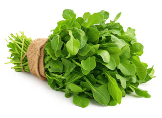 Poster - fresh bunch of arugula white background