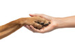 © NK - Gentle Human Hand Holding a Dogs Paw in a Symbolic Gesture of Friendship